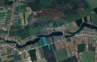 Teren intravilan de 17799 mp, în Moara Vlăsiei - 4