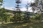 Teren Intravilan de vanzare in Targu Mures zona budiu mic - 8