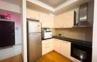 Apartament cu 2 camere semidecomandat în Herăstrău - 9