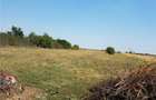 Teren de 1800 mp, în Letca Nouă - 2