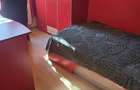 Etaj 2/4 , micro 6 Targoviste, inchiriere apartament 3 camere - 5
