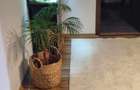 Inchiriez apartament 2 camere - 2