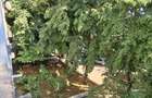 Apartament 4 camere Constantin Brancoveanu Berceni - 16