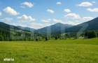 Teren intravilan de vanzare, 7.000 mp, Vatra Dornei - 1