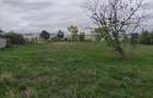 Teren de 1460 mp, în Măureni - 8