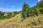 Teren Intravilan 546 mp | Panorama deosebita | PUZ in lucru - 7