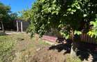 Casa 700m/2 comuna Viisoara Teleorman - 6