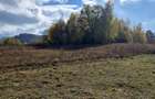 Teren extravilan ?inca Noua Brasov ideal casa de vacan?a cu priveli?te
