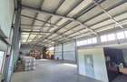 Hală producție + birouri, 2.600 mp, Parc Industrial 1 Borș – Oradea - 6