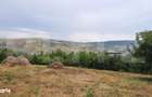 Teren intravilan construibil 2000 mp, Valea Chintaului, curti construc - 3