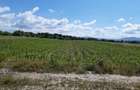 Teren agricol extravilan Podu Oltului la limita UAT Harman si UAT Prejmer - 4