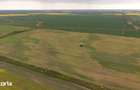 Teren investi?ional strategic 44.700 mp Arad Vest - 10