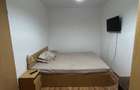 Apartament 2 camere , zona Banat - 11