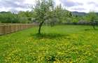 Teren intravilan la munte, in Nereju, Vrancea - 7