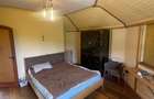 Casa ecologica din beton de canepa, 200 mp, 11 arii teren, zona Tautii