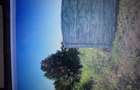 Teren Intravilan 488mp,Front 28m-Cernica,Sat Posta Pre? 28.000 euro - 2