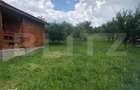 Teren de vanzare cu cabana si livada, 1300 mp, zona Viile Satu Mare - 9