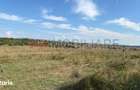 Baicoi/ Saramura/Teren investitie 7500 mp/ d_68 - 4