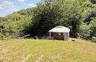 Valea Rosie, teren intravilan 3434mp, langa padure. - 6