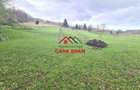 Teren extravilan Valea Doftanei 20.500 mp 6e mp - 19