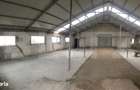 Hala Industriala, 175 mp, zona Exterior Sud - 2