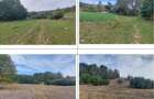 Teren Filipeni, Padure, ID: R2388724 - 6