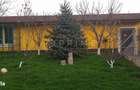 Casa de Vanzare Sancraiu de Mures - 1