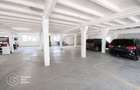 Hala 300mp, 3 camere, parter, pretabil destinatii multiple, zona Aeroport - 6