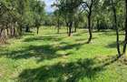 Vand teren pentru casa,intravilan - 5