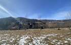Vand teren zona Rucar, sat Satic de Sus, jud. Arge? - 9
