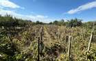 Casa de vanzare in Izimsa, comuna Obarsia de Camp, jud. Mehedinti teren 2.000 mp.