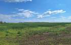 Vand Teren 3,25Ha Ghighiu,Sat Barcanesti,Autostrada A3-Dj101,Prahova - 3