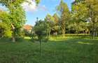 Teren 2500 Mp Potential Business / Dezvoltare Breaza - 3