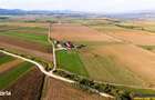 FILM! 18.000 mp, extravilan, agricol+ constructii:ferma,investitii agr - 5