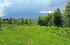 Teren pentru casa de vacanta , Pestera , Brasov - 10