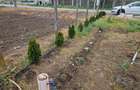 Teren Intravilan Drajna Noua 1120m