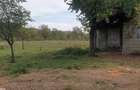 Casă cu Teren 3600 Mp în Balotești