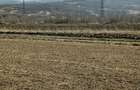 Teren de 2800 mp, în Turnu Roșu