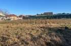 RECO Teren intravilan pentru loc de casa 500 mp Sanmartin - 5
