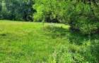 teren de vanzare intravilan-19000 EUR - 1