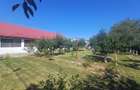 Vanzare afacere restaurant (sala nunti) + cladire hotel + balta pescuit - 7