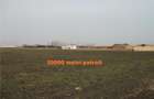 Inchiriez sau vand teren Halchiu - 8