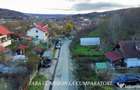 PADURE LANGA ORAS ACCES BUN IDEALA PENTRU ACTIVITATI DE AGRE - Ramnicu Valcea (Valcea) - 4