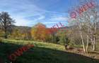 Casa de vanzare in Sohodol, Bran, cu teren de 4.831 m2!