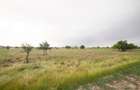 Comuna Berceni Lot teren 700 mp Intravilan deschidere 17m - 3