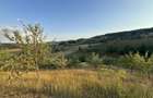 Vand teren intravilan construibil cu panorama deosebita - 2453 mp Rosia - 7