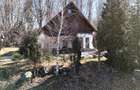 Casa de vacanta cu teren 2000mp Valea Avrigului - 2
