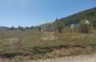 Teren intravilan 2900 mp cu utilitati-Zona MOL Viisoara