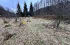 Teren intravilan 6.500 m2Deschidere 144 ml drum european E81, km 35, Moraresti - Moraresti (Arges)