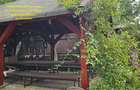 PROPRIETATE DEOSEBITĂ, ALMAȘ, CASĂ P+M, ECHIPATA COMLET, TEREN 951 MP, LIVADA - 5